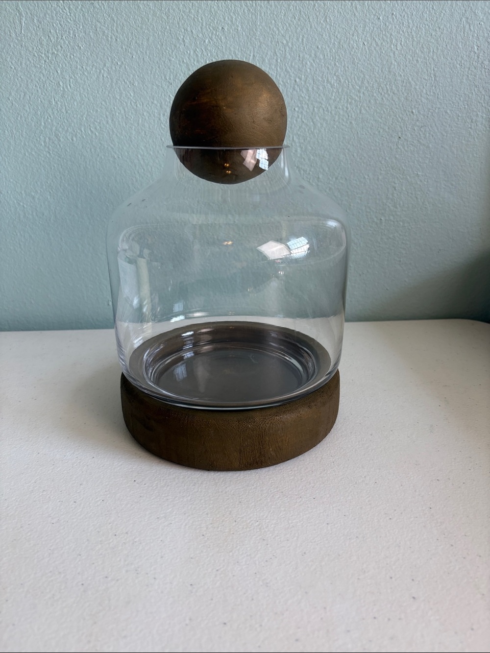 Glass Cloche Jar with Wood Base and Knob Clear and Brown